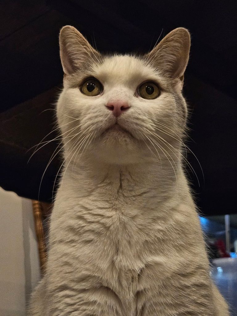 20241228_190925691147578470181855